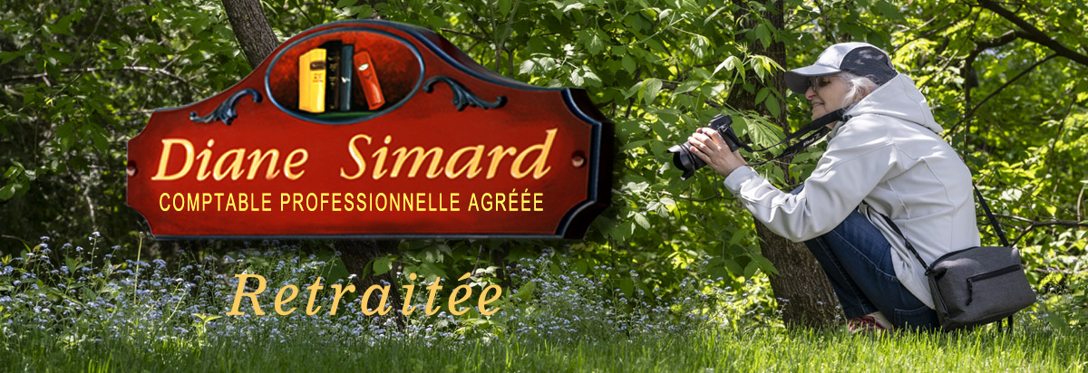 Diane Simard CPA